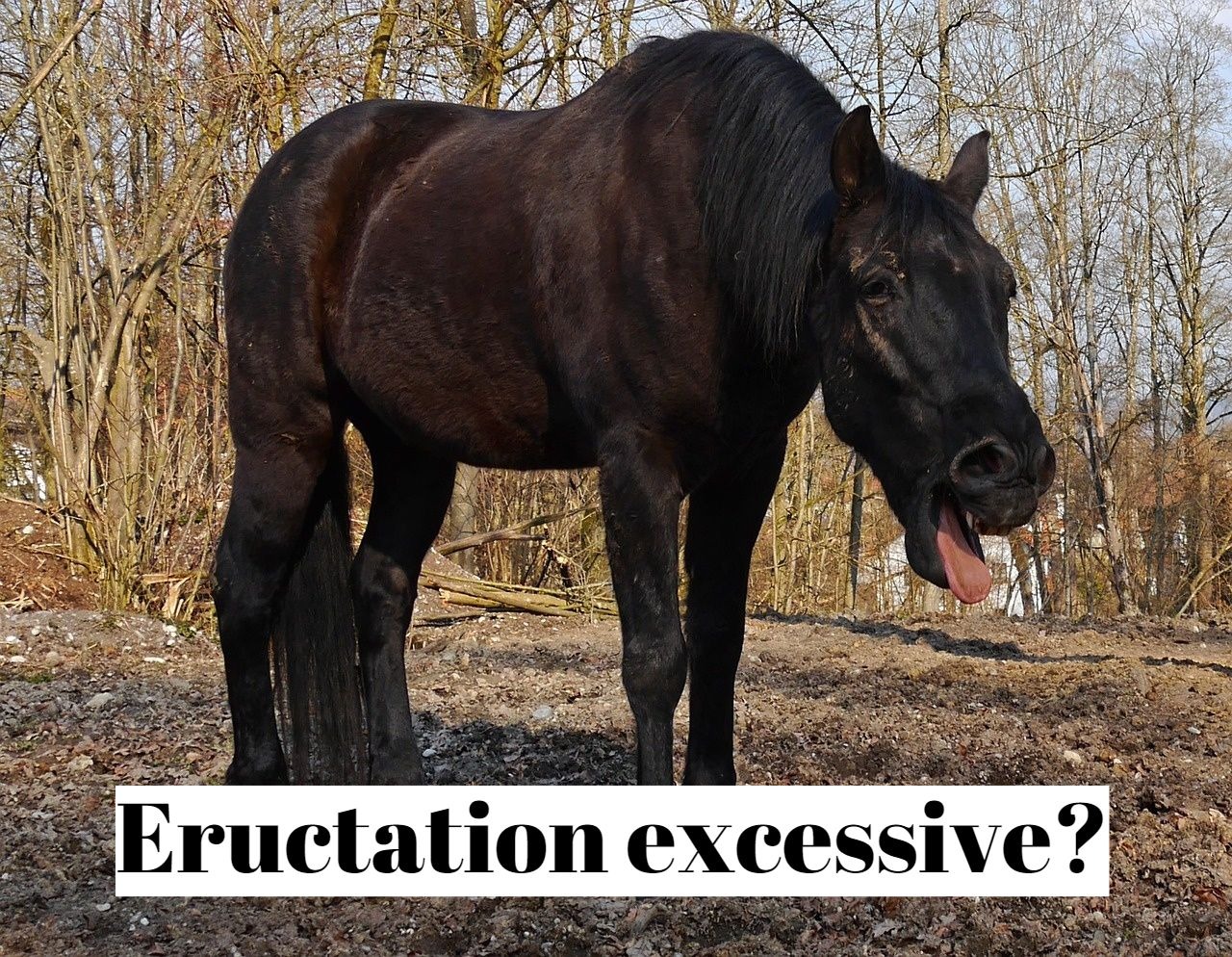 Eructation excessive : comment moins roter ?