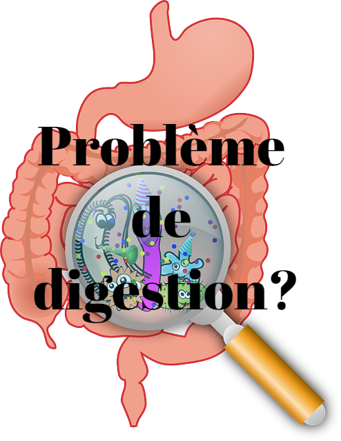 Problèmes de digestion : quelle solution pour mieux digérer ?