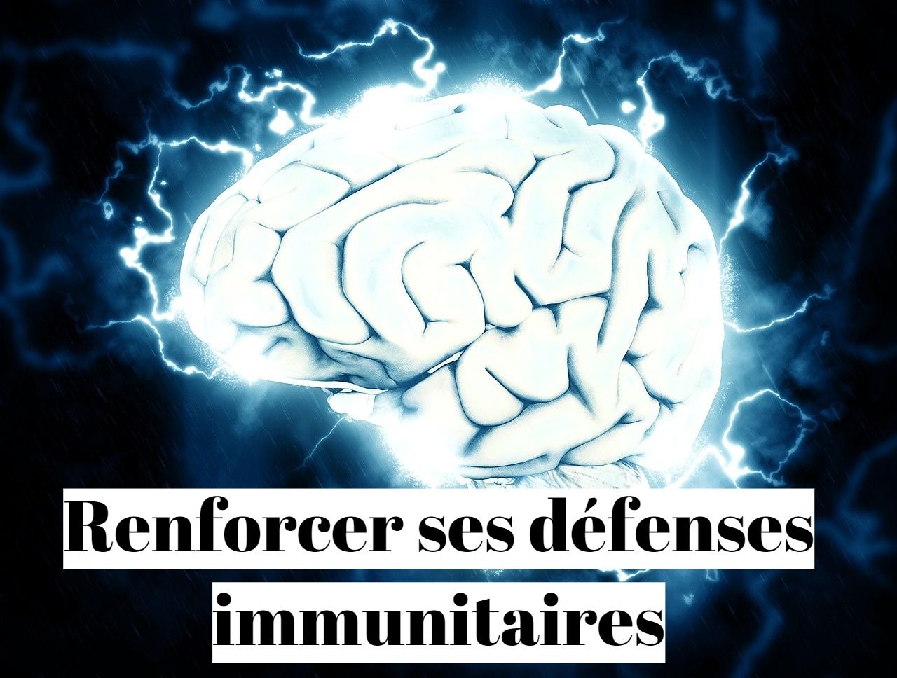 Comment augmenter et renforcer ses défenses immunitaires ?